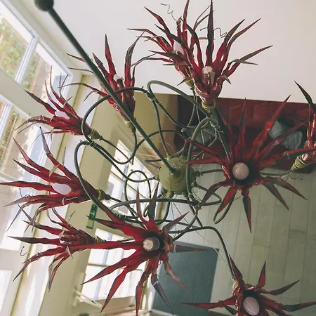 Villa-senta-apartment-10 Kuehlungsborn